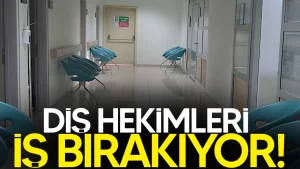 dis hekimleri