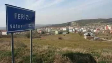ferizli nufus