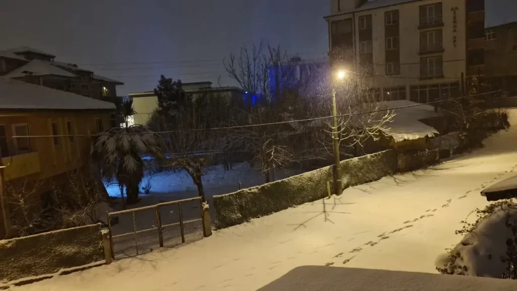 karyagis