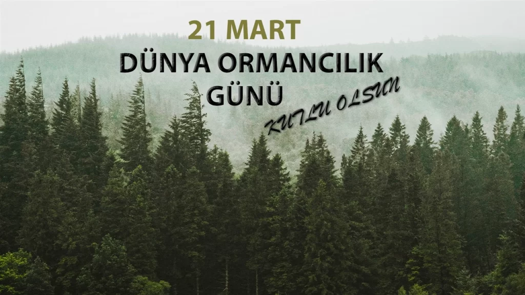 fidan-be