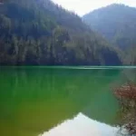 golmanzara