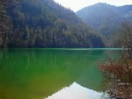 golmanzara