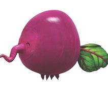 kirmizi-turp