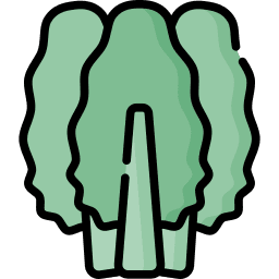 pazı