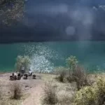 suluklugolyeni