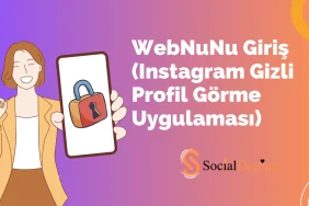 webnunu-giris-gizli-profil görme