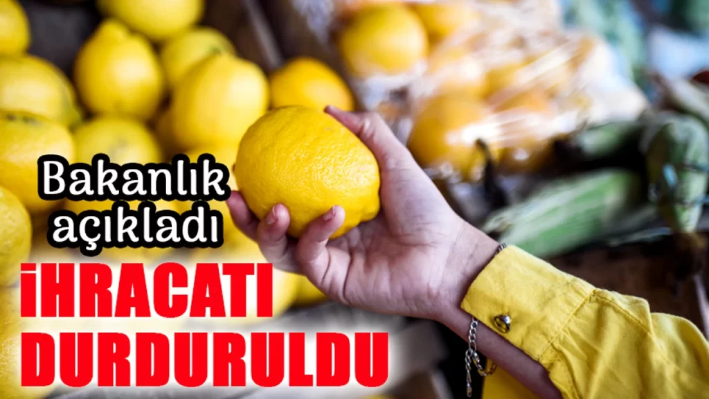 Limon ihracatı durduruldu 2025
