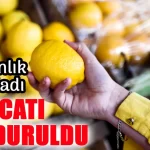 Limon ihracatı durduruldu 2025