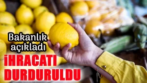 Limon ihracatı durduruldu 2025
