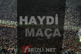 haydi maca