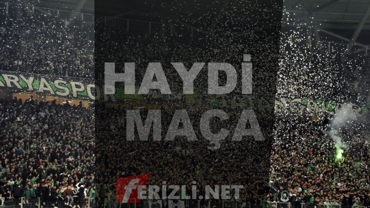haydi maca