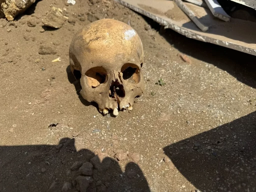 Karasu'da İnşaat Kazısında Kafatası Bulundu