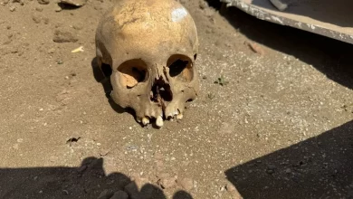 Karasu'da İnşaat Kazısında Kafatası Bulundu