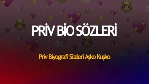 Priv