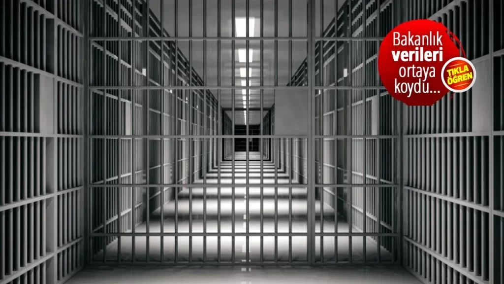 bakanlik verileri ceza evi