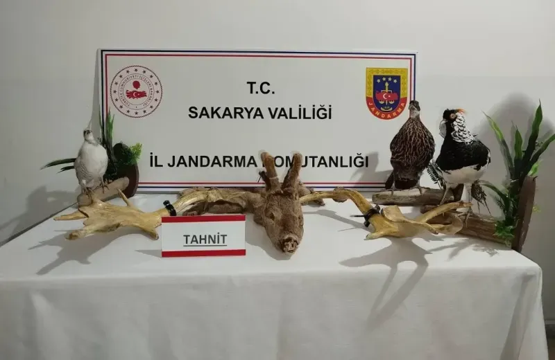 geyve hayvanat bahcesi Ele Geçirilen Hayvanlar: