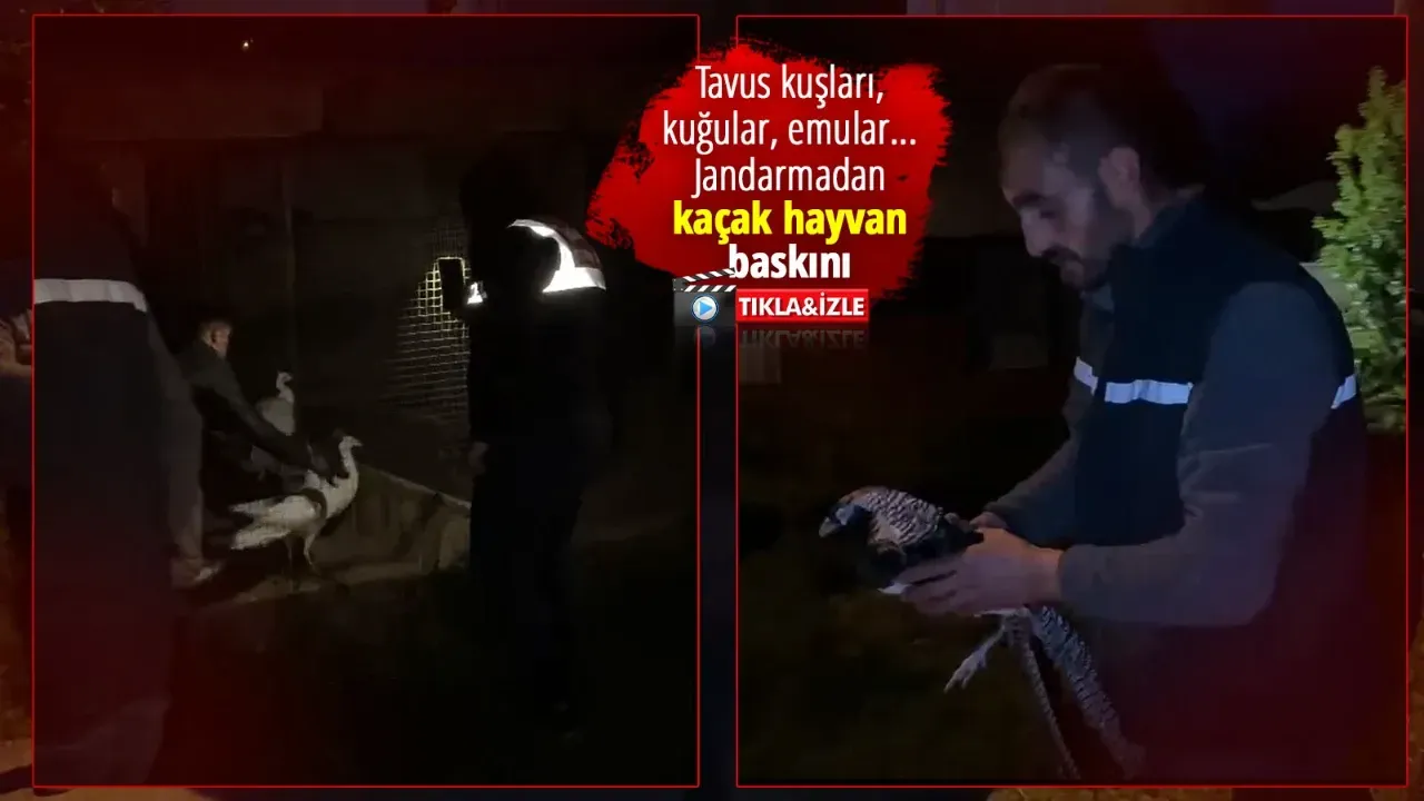 geyvede ilginc olay