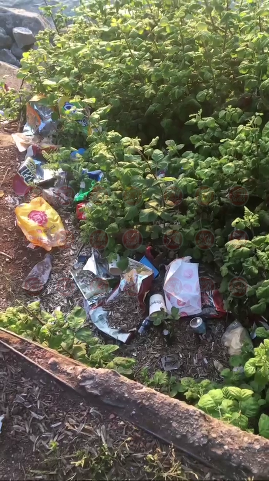 sapanca gölü kenari sapanca gölü kenari
