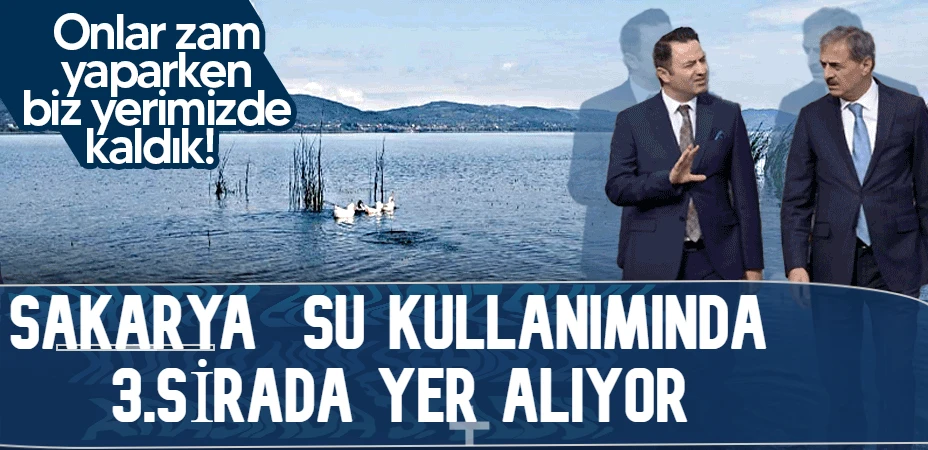 sapanca yeni su