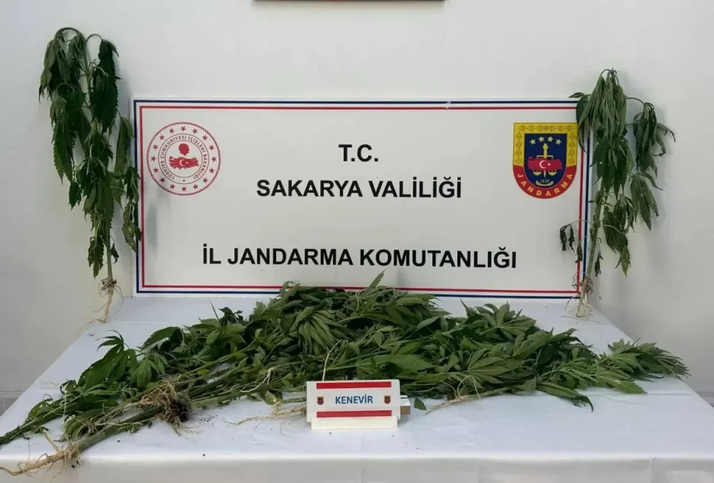 Sakarya'da Uyuşturucu Operasyonu Üç Kişi Tutuklandı