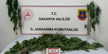 Sakarya'da Uyuşturucu Operasyonu Üç Kişi Tutuklandı