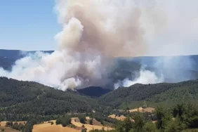 Geyve'de Yangın Kontrol altına alındı