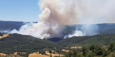 Geyve'de Yangın Kontrol altına alındı