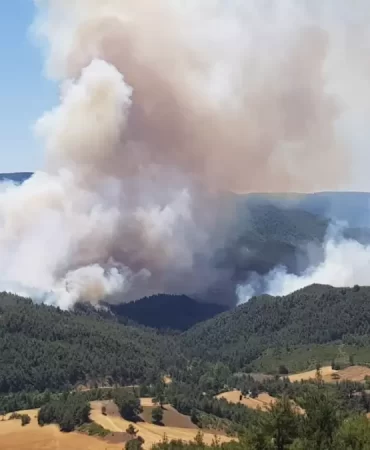 Geyve'de Yangın Kontrol altına alındı