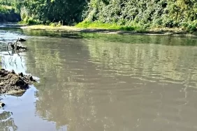 mudurnu deresi siyah akiyor