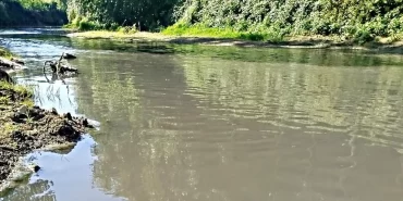 mudurnu deresi siyah akiyor