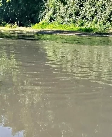 mudurnu deresi siyah akiyor