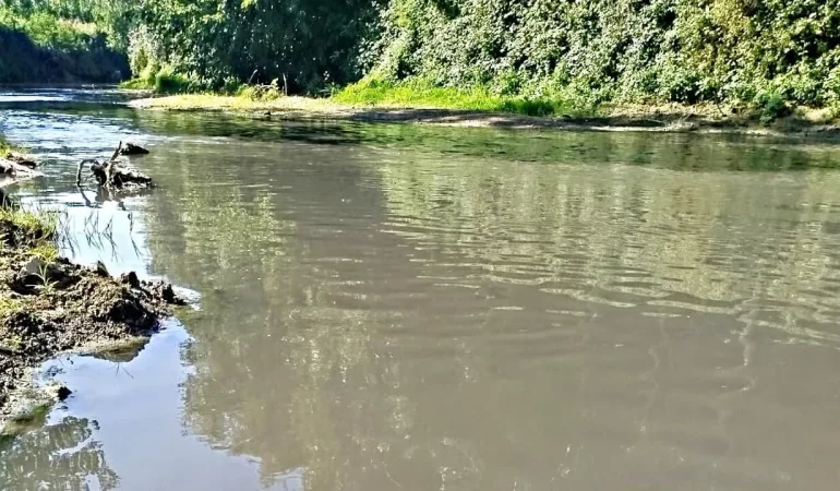 mudurnu deresi siyah akiyor