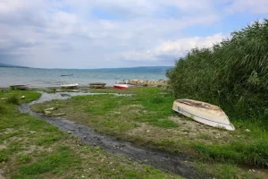 Saski karar