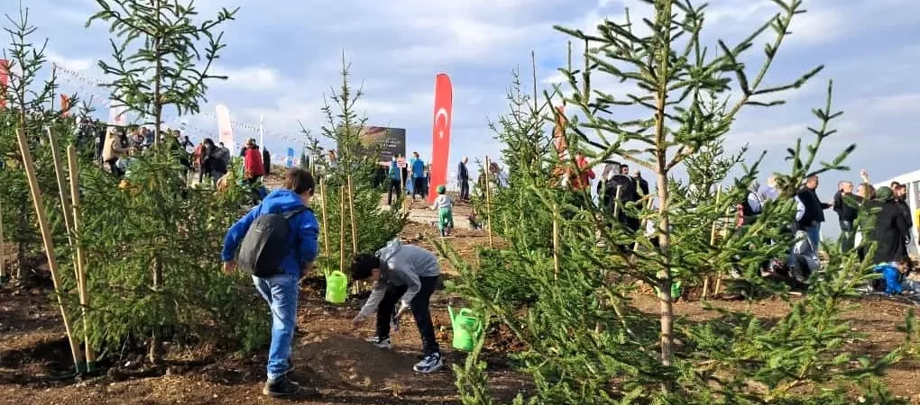 ferizli fidan dikimi