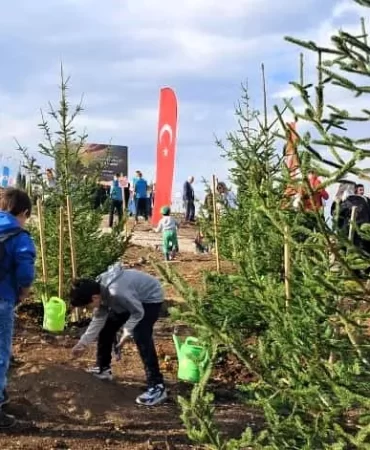 ferizli fidan dikimi