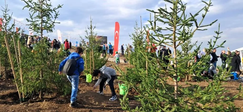 ferizli fidan dikimi