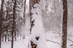 Sakarya8217nin Yuksekleri Beyaza Burundu Yogun Kar Yagisi Devam Ediyor featured