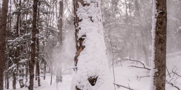 Sakarya8217nin Yuksekleri Beyaza Burundu Yogun Kar Yagisi Devam Ediyor featured