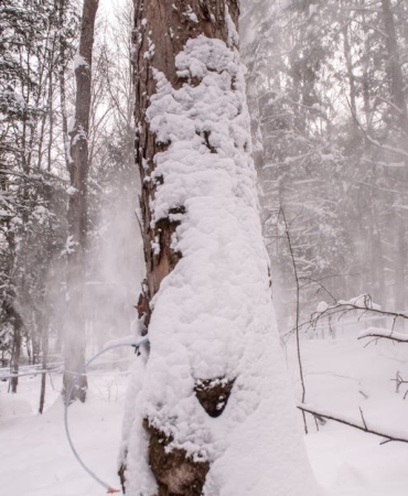 Sakarya8217nin Yuksekleri Beyaza Burundu Yogun Kar Yagisi Devam Ediyor featured