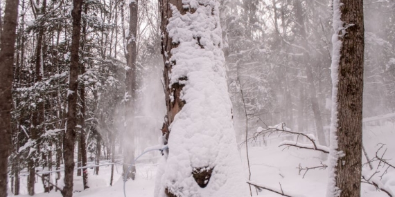 Sakarya8217nin Yuksekleri Beyaza Burundu Yogun Kar Yagisi Devam Ediyor featured