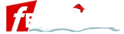 logo ferizli