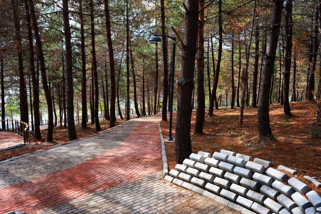 1769777211 1769777211