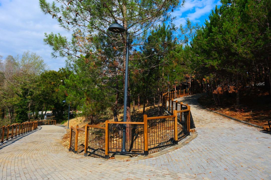 1769777215652 1769777215652