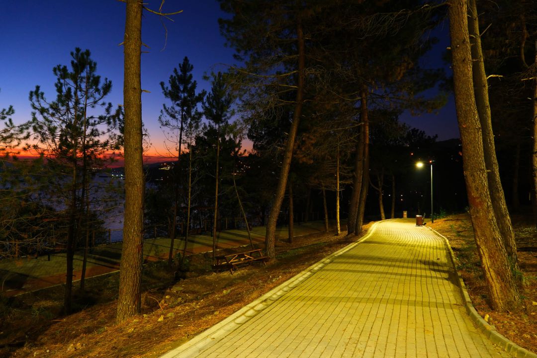 1769777221541 1769777221541