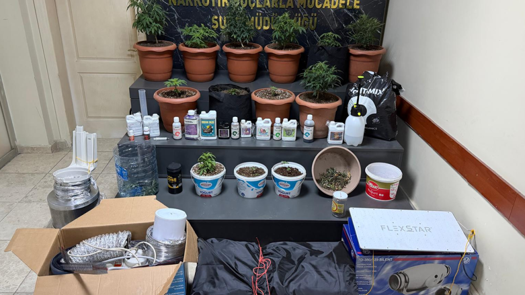 Sakarya'da Kenevir Yetiştiren 2 Şüpheli Yakalandı.