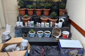 Sakarya'da Kenevir Yetiştiren 2 Şüpheli Yakalandı.