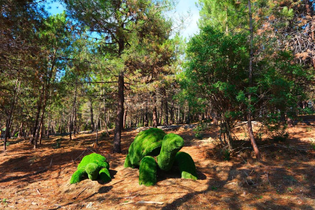 69777217541 69777217541