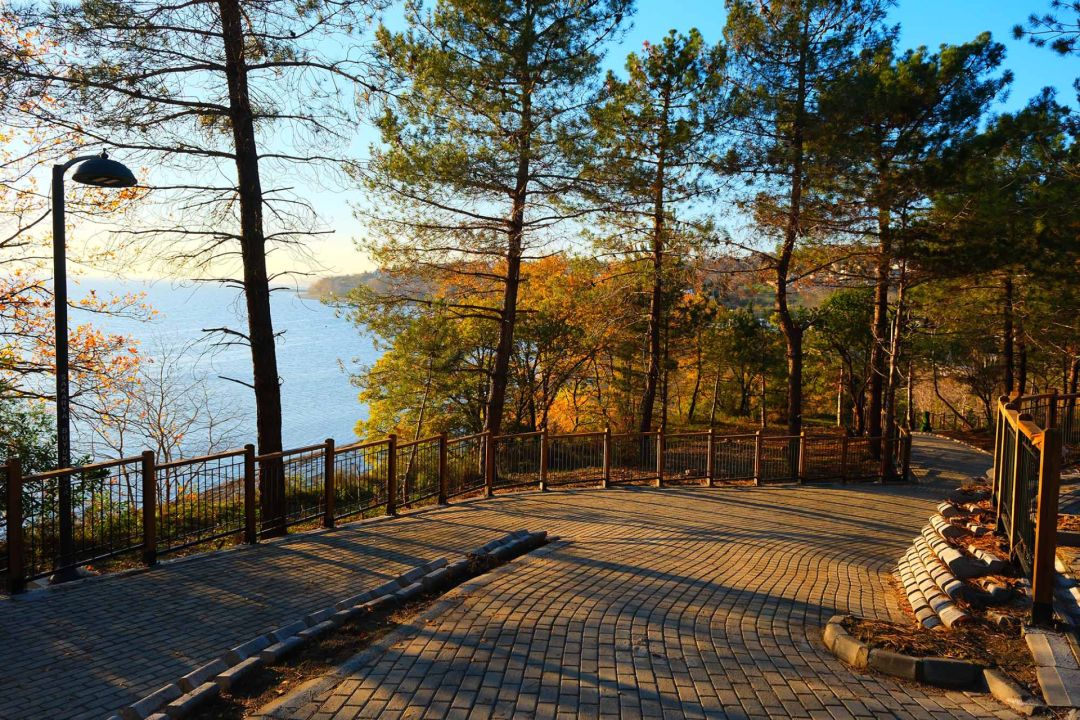 697772194451, 697772194451,