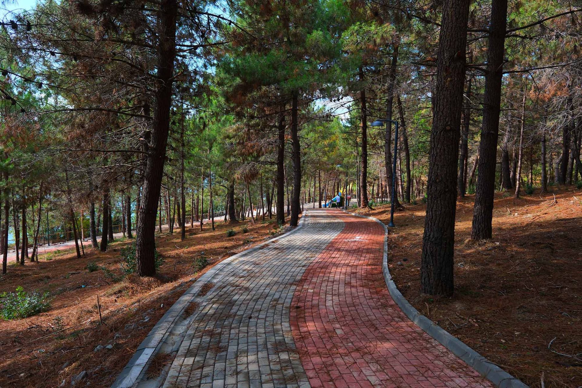 7697772135441 7697772135441