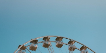 Sakarya8217da Deve Kusu Heyecani Erenler Trafigi Aksadi featured